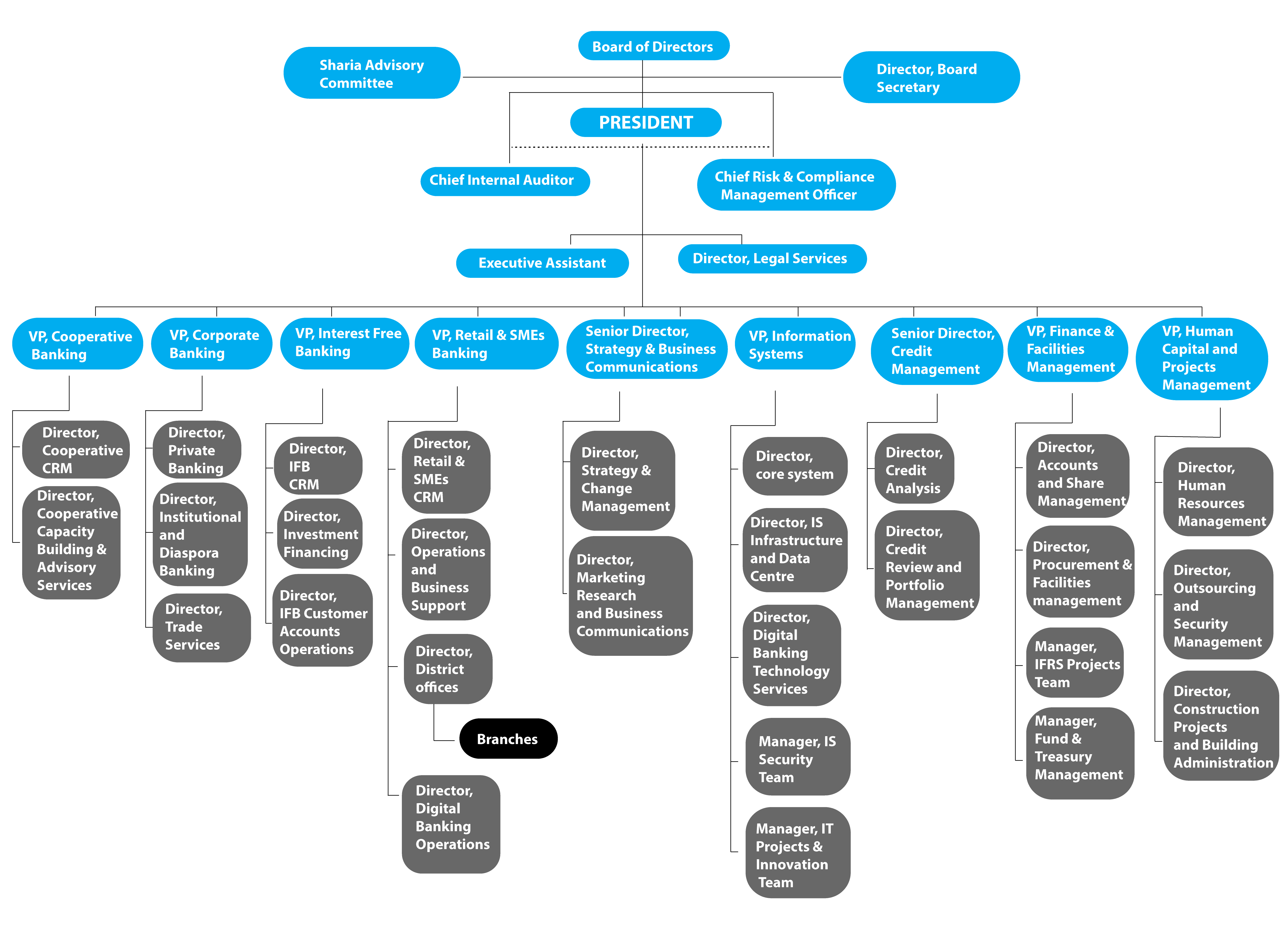 Organizational structure cooperative bank of oromia